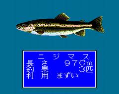 川のぬし釣り自然派