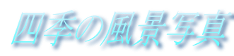 ���̕��i