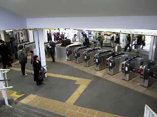 ���{�͌��w