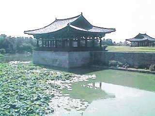 雁鴨池